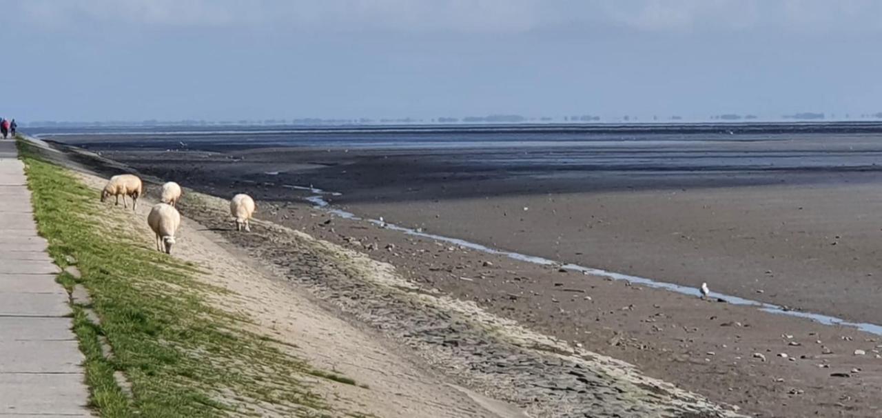 威廉港Fewo Mit Meerblick - Direktzugang Zur Nordsee公寓 外观 照片